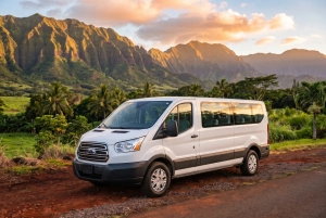 2019 Ford Transit XL