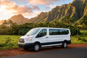 2016 Ford Transit XL