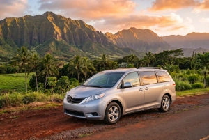 2019 Toyota Sienna L
