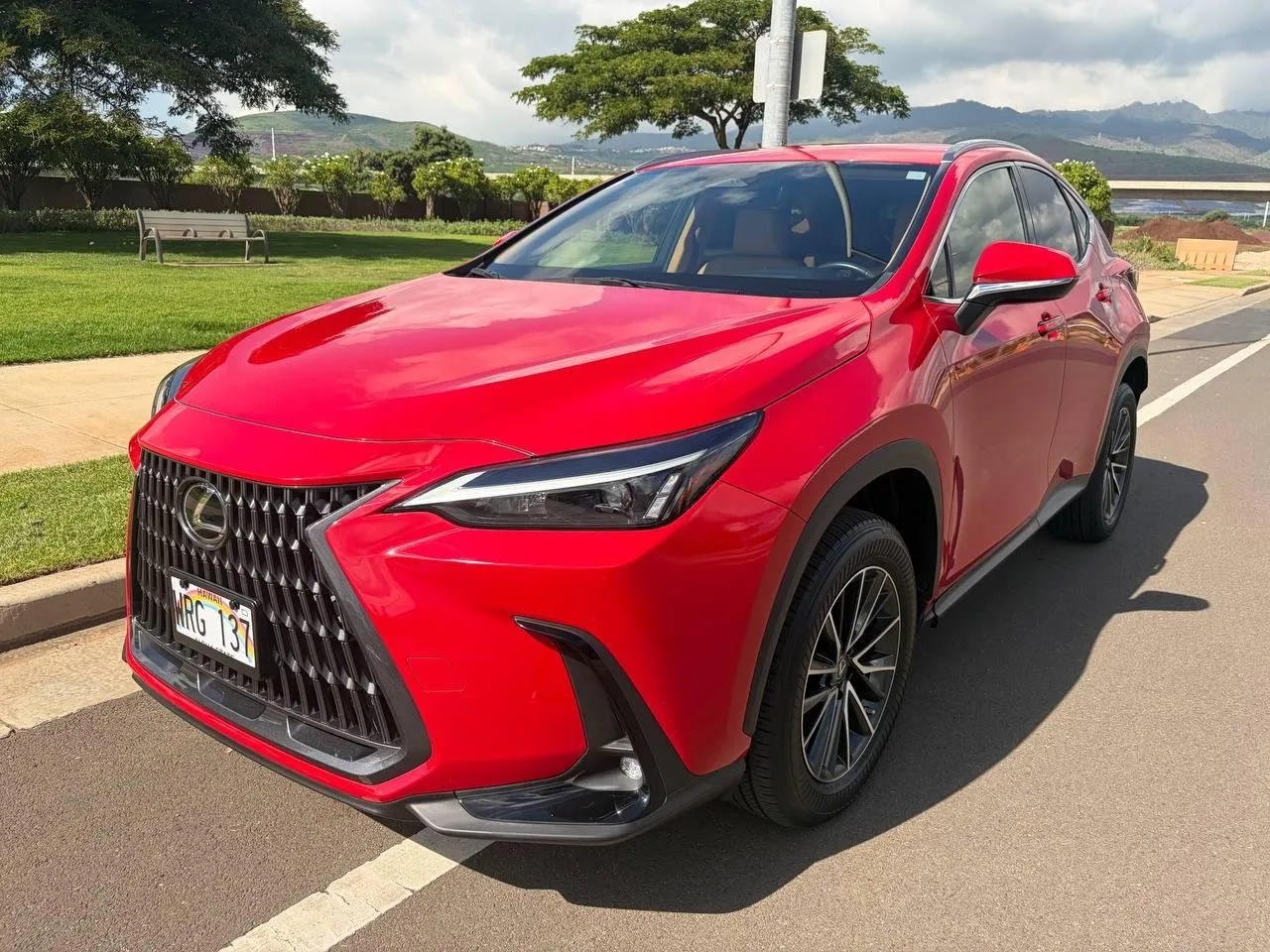 2022 Lexus NX NX 250