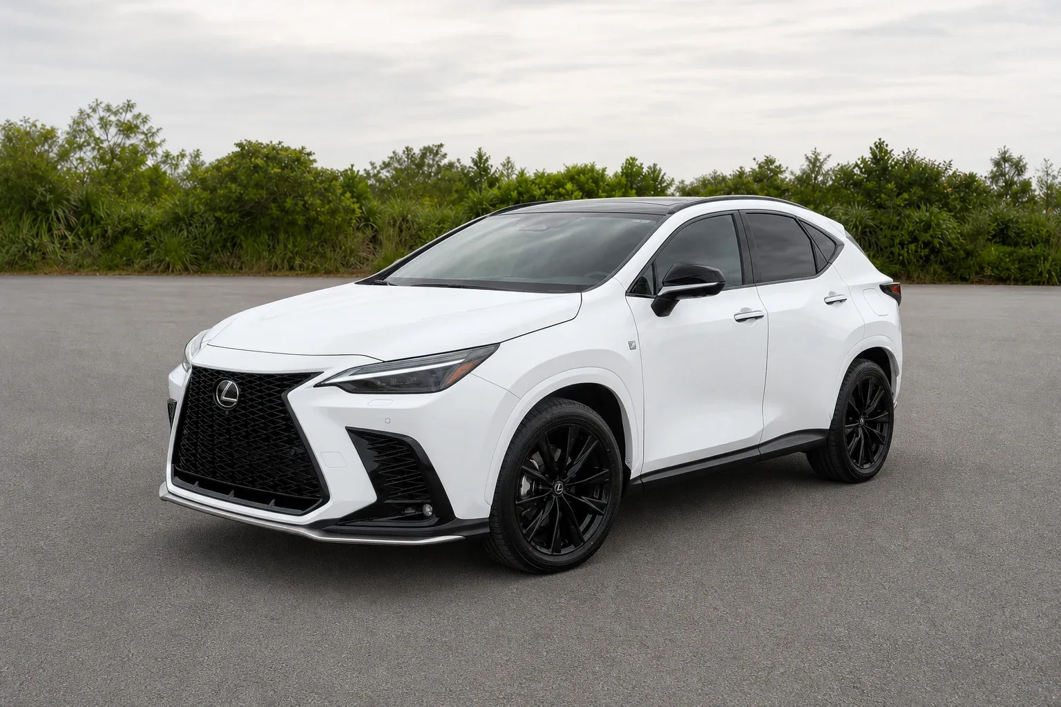 2022 Lexus NX NX 350 F SPORT Handling